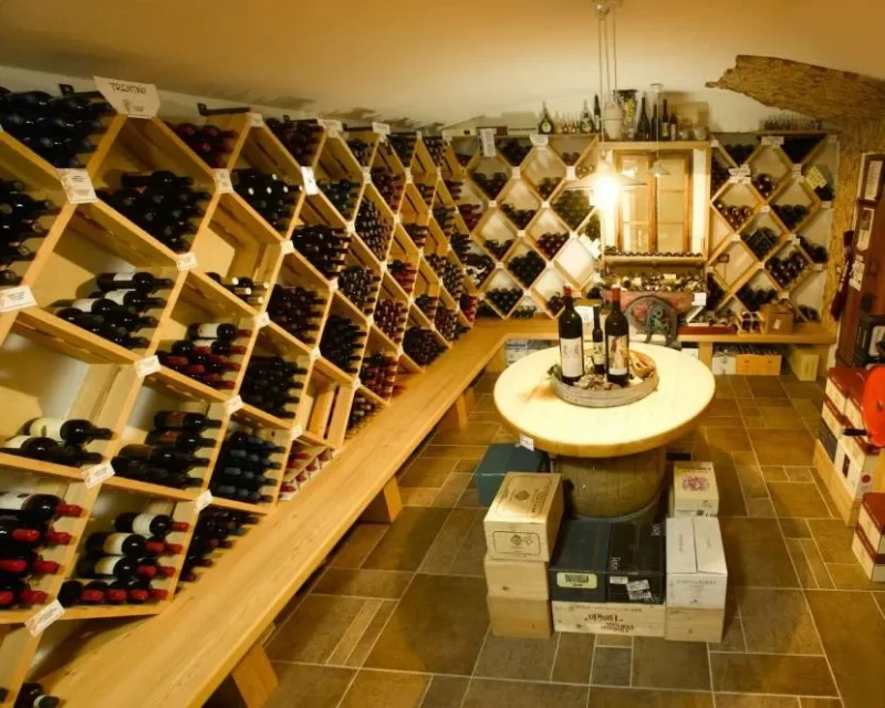 The best Wine cellar With Your Own Hands