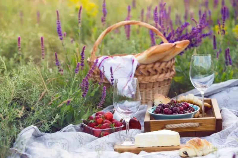 Rustic Сhic: Secrets of Serving in Provence Style