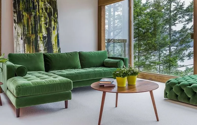 2024 Green Sofa Style of Harmonious Design