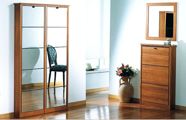  Shoe Cabinets in The Hallway Unusual Ideas