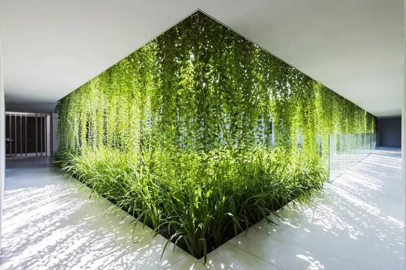 30 Best Photos of a Vertical Garden Wall