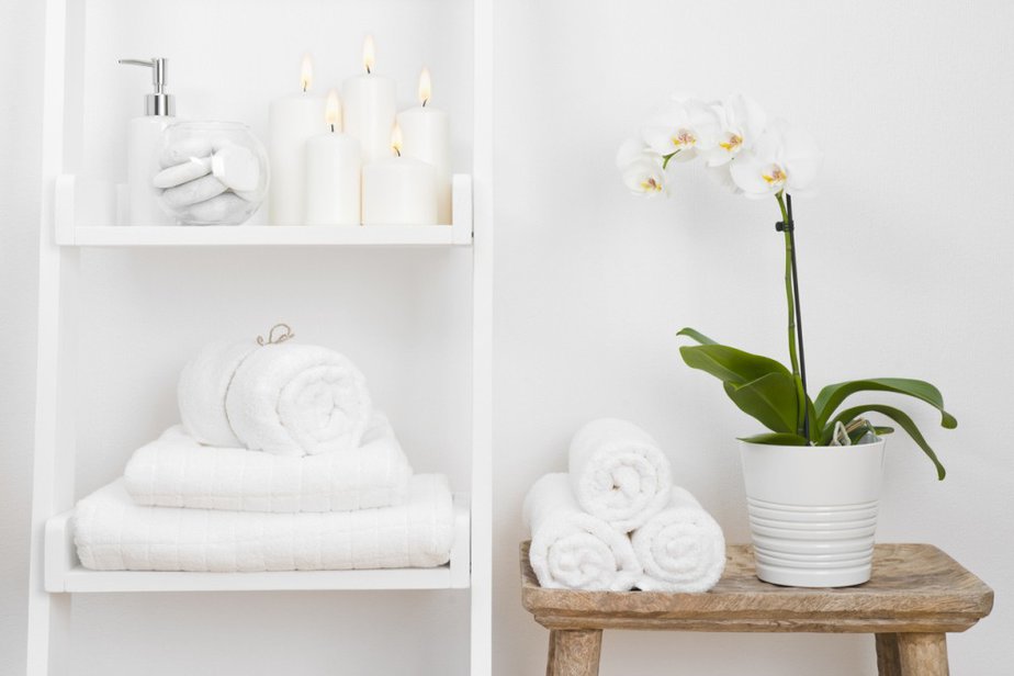 The 11 Best Plants for Bathroom Decor