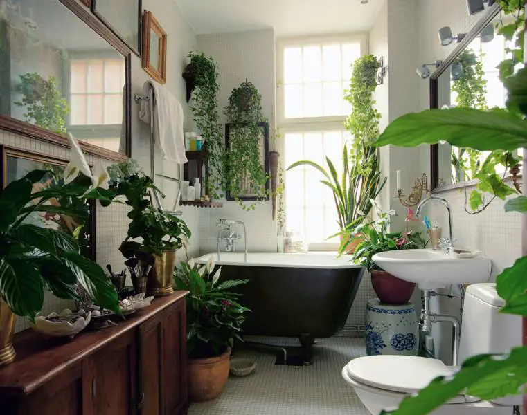 The 11 Best Bathrooms With Plants